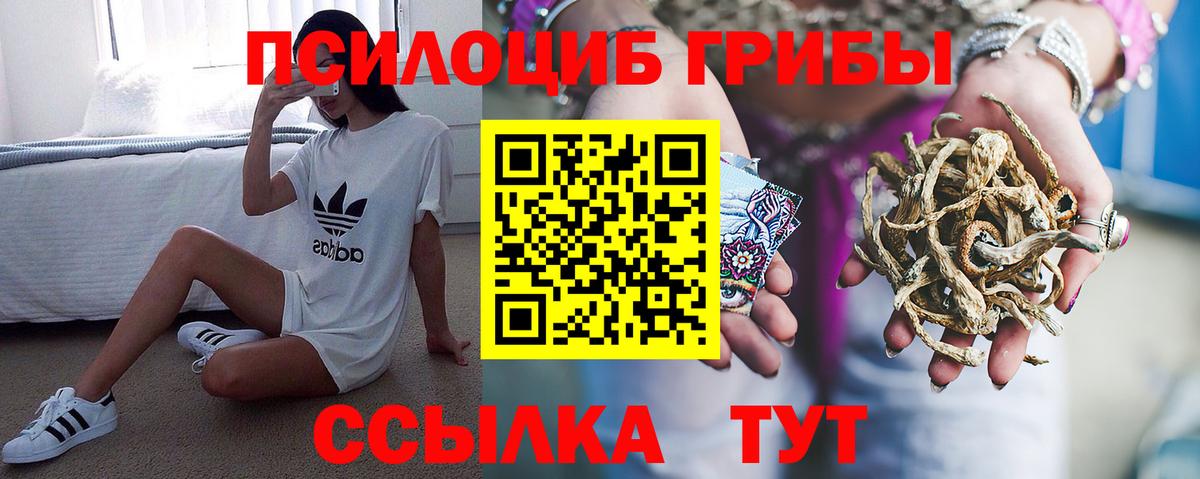 магазин продажи   Вход с VPN  Таганрог  Псилоцибиновые грибы мухоморы  Псилоцибиновые грибы Cubensis 
